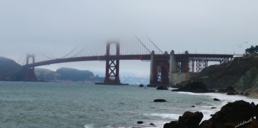 San Francisco blameitonmywildheartblog wildatheart Golden Gate Bridge