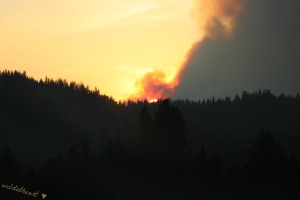 Forest fire smoke sky Montana USA blame it on my wild heart blog blameitonmywildheartblog wild at heart photography